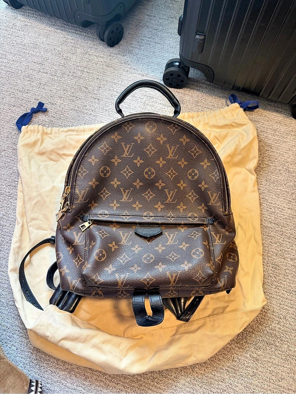 Louis Vuitton Palm Springs MM Backpack Monogram Brown & Black